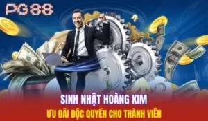 Sinh nhật Hoàng Kim