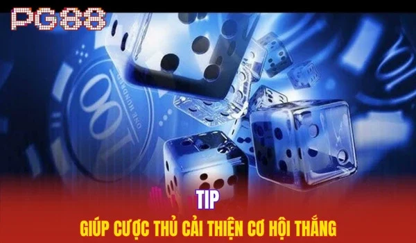 Tip giúp cược thủ cải thiện cơ hội thắng
